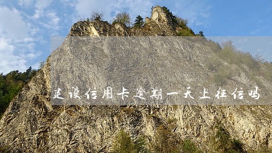 建设信用卡逾期一天上征信吗 建设信用卡逾期一天上征信吗