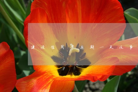 建设信用卡逾期一天没事吧