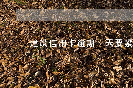 建设信用卡逾期一天要紧吗 建设信用卡逾期一天要紧吗