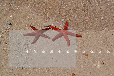 建设信用卡逾期七会上征信