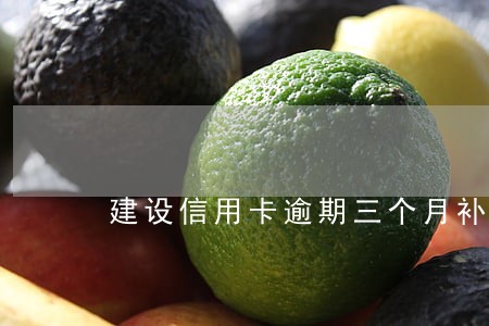 建设信用卡逾期三个月补救