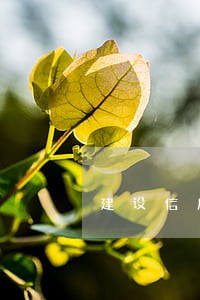 建设信用卡逾期不到5000 建设信用卡逾期不到5000