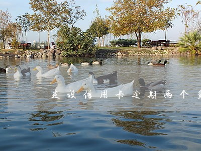 建设信用卡逾期两个多月