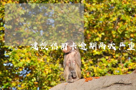 建设信用卡逾期两次严重吗