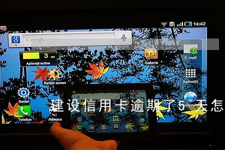 建设信用卡逾期了5天怎么办 建设信用卡逾期了5天怎么办
