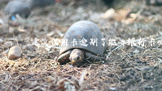 建设信用卡逾期了能办银行卡吗 建设信用卡逾期了能办银行卡吗