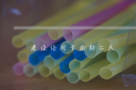 建设信用卡逾期二天 建设信用卡逾期二天