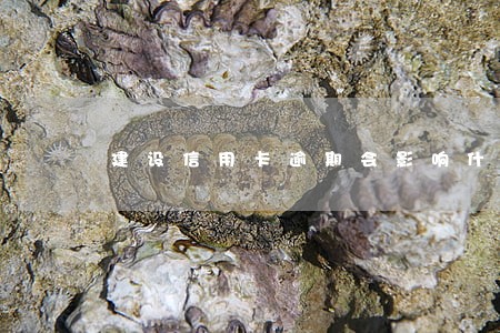 建设信用卡逾期会影响什么影响 建设信用卡逾期会影响什么影响