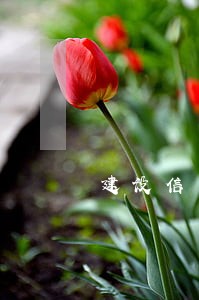 建设信用卡逾期信息通知截图 建设信用卡逾期信息通知截图