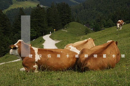 建设信用卡逾期储蓄卡被限制 建设信用卡逾期储蓄卡被限制
