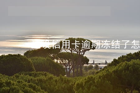 建设信用卡逾期冻结了怎么解冻 建设信用卡逾期冻结了怎么解冻