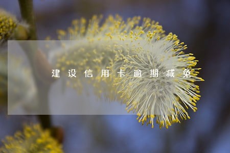 建设信用卡逾期减免 建设信用卡逾期减免