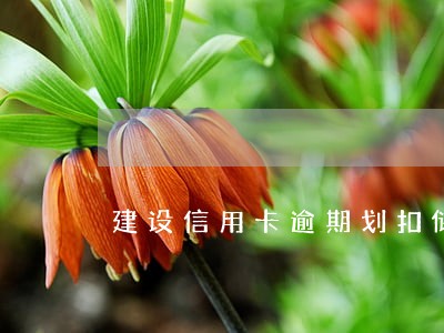 建设信用卡逾期划扣储蓄卡