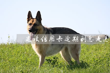 建设信用卡逾期利息是怎么算的