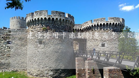 建设信用卡逾期利息高怎么处理 建设信用卡逾期利息高怎么处理