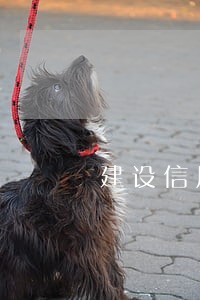 建设信用卡逾期到分行处理 建设信用卡逾期到分行处理