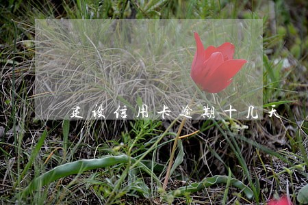 建设信用卡逾期十几天 建设信用卡逾期十几天