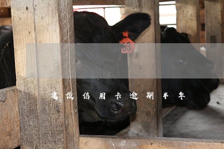 建设信用卡逾期半年 建设信用卡逾期半年