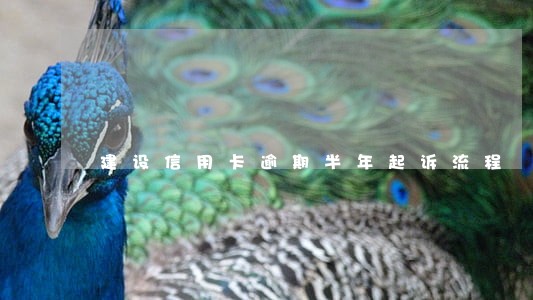 建设信用卡逾期半年起诉流程 建设信用卡逾期半年起诉流程