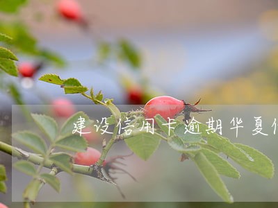 建设信用卡逾期华夏借记卡 建设信用卡逾期华夏借记卡