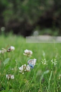 建设信用卡逾期协商分期 建设信用卡逾期协商分期