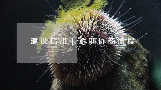 建设信用卡逾期协商流程 建设信用卡逾期协商流程