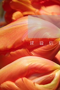 建设信用卡逾期口头协议