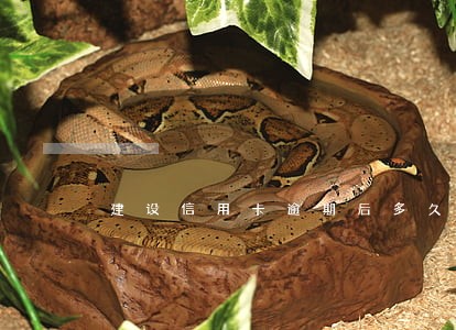 建设信用卡逾期后多久可以协商 建设信用卡逾期后多久可以协商
