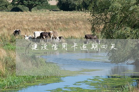 建设信用卡逾期四天 建设信用卡逾期四天