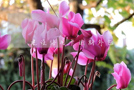 建设信用卡逾期外包不予协商 建设信用卡逾期外包不予协商