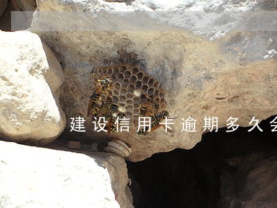 建设信用卡逾期多久会减额度 建设信用卡逾期多久会减额度
