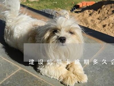 建设信用卡逾期多久会打电话给家人 建设信用卡逾期多久会打电话给家人