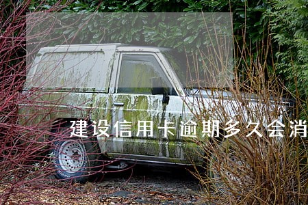 建设信用卡逾期多久会消除 建设信用卡逾期多久会消除