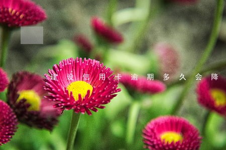 建设信用卡逾期多久会降额 建设信用卡逾期多久会降额
