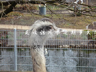 建设信用卡逾期多久爆 建设信用卡逾期多久爆