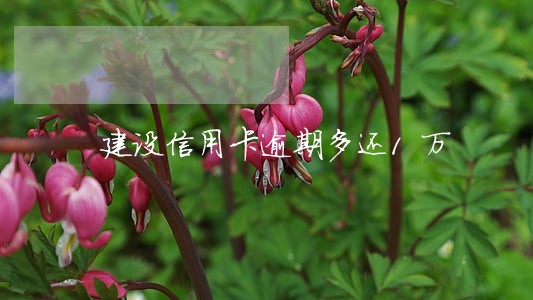 建设信用卡逾期多还1万