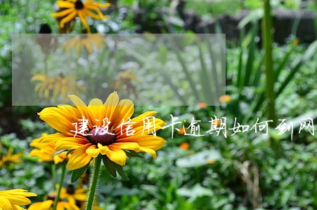 建设信用卡逾期如何到网点协商