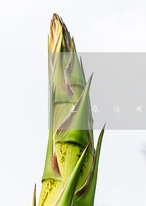 建设信用卡逾期强制扣款 建设信用卡逾期强制扣款
