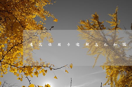 建设信用卡逾期怎么和银行协调 建设信用卡逾期怎么和银行协调