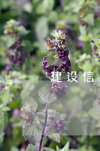 建设信用卡逾期怎么太原的好 建设信用卡逾期怎么太原的好