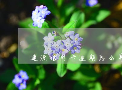 建设信用卡逾期怎么算 建设信用卡逾期怎么算