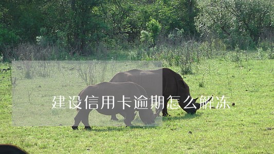 建设信用卡逾期怎么解冻 建设信用卡逾期怎么解冻