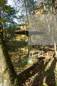 建设信用卡逾期有还款