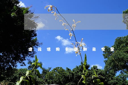 建设信用卡逾期来家里 建设信用卡逾期来家里