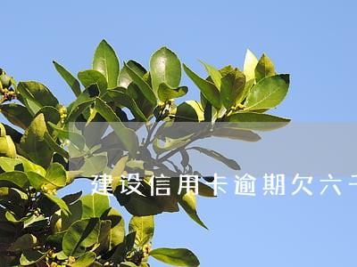 建设信用卡逾期欠六千天 建设信用卡逾期欠六千天