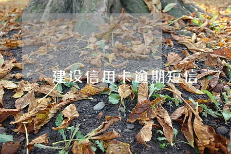 建设信用卡逾期短信 建设信用卡逾期短信