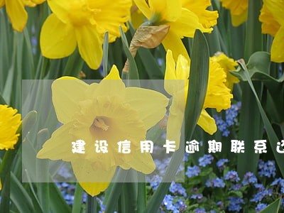 建设信用卡逾期联系还款 建设信用卡逾期联系还款