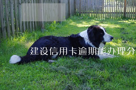 建设信用卡逾期能办理分期还款吗 建设信用卡逾期能办理分期还款吗