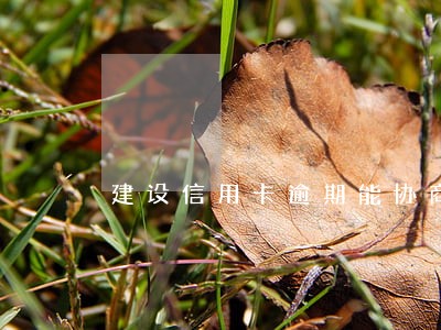 建设信用卡逾期能协商利息吗 建设信用卡逾期能协商利息吗