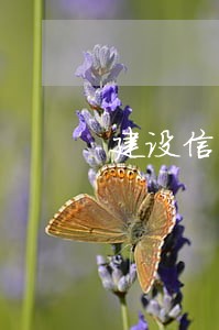 建设信用卡逾期能协商只还本金吗